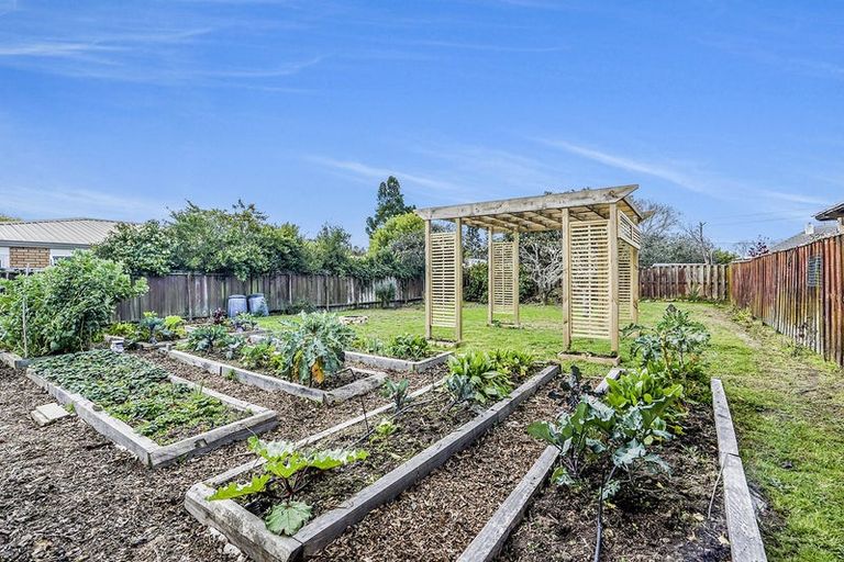 Photo of property in 216 Fox Street, Hamilton East, Hamilton, 3216