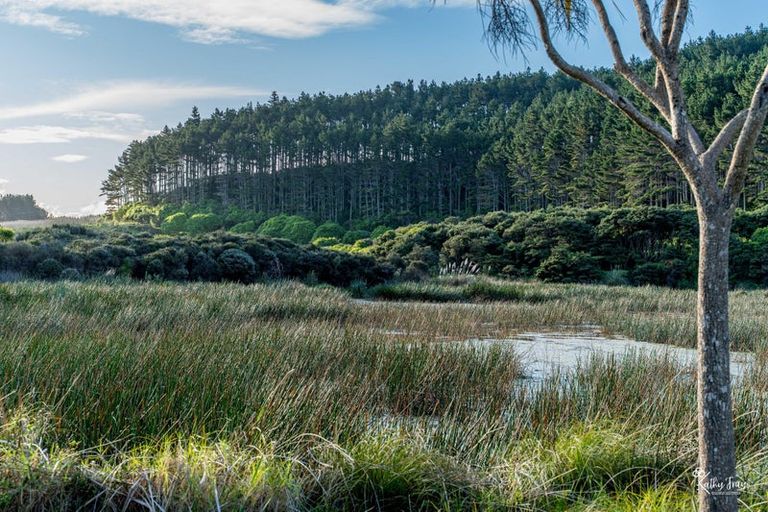 Photo of property in 70 Rototuna Road, Pouto, Te Kopuru, 0391