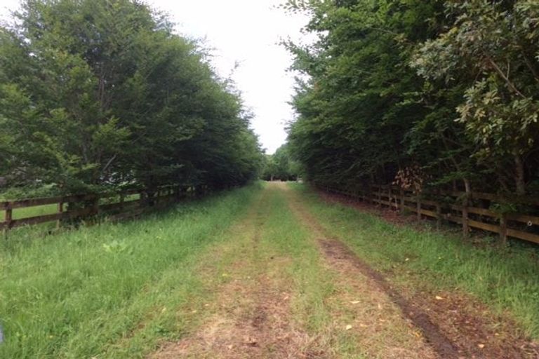 Photo of property in 29 Koppens Road, Tamahere, Hamilton, 3283