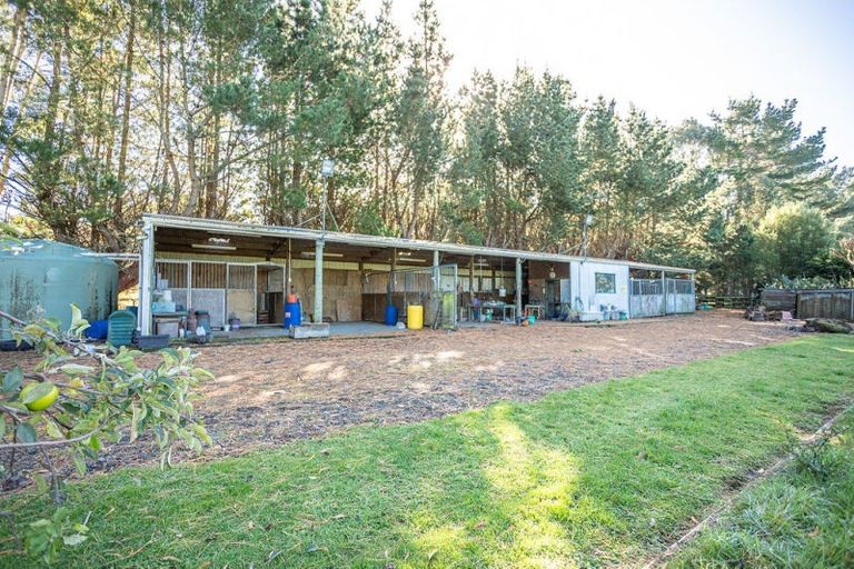 Photo of property in 356 Matamau Ormondville Road, Matamau, Dannevirke, 4977