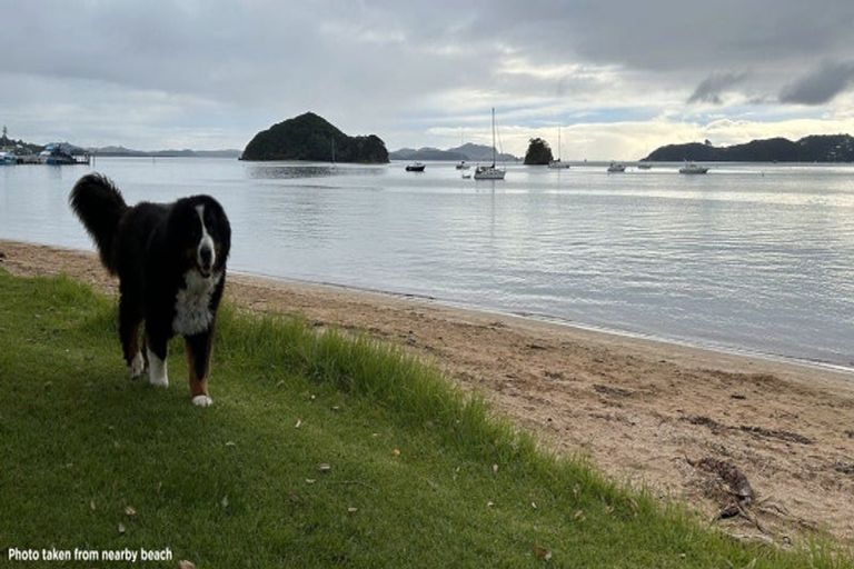 Photo of property in 59 Kings Road, Paihia, 0200