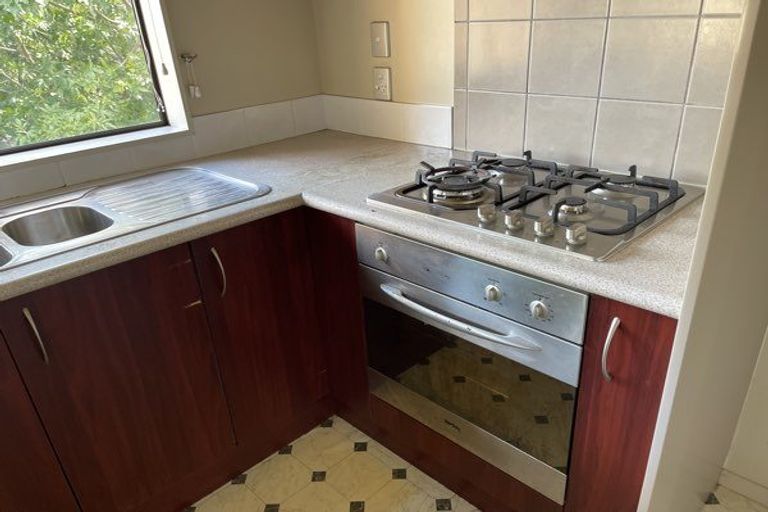 Photo of property in 102a Clyde Street, Hamilton East, Hamilton, 3216