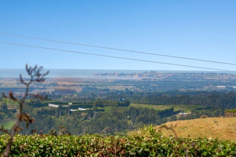 Photo of property in 745 No 4 Road, Te Puke, 3183