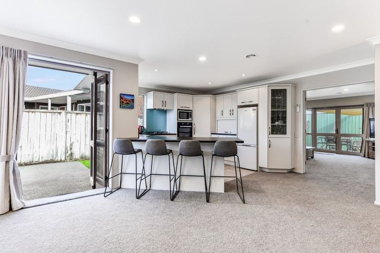 Photo of property in 33 Hastings Place, Hamilton Lake, Hamilton, 3204