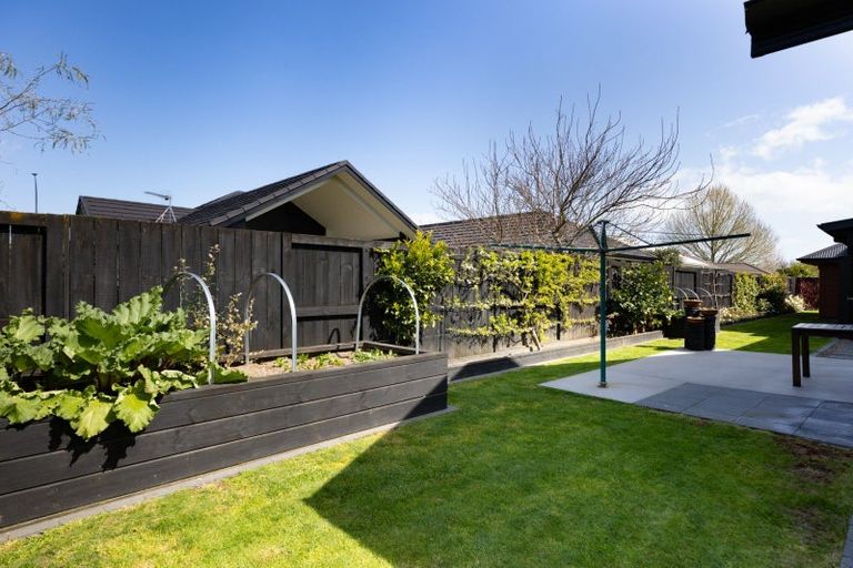 Photo of property in 17 Kowhai Drive, Cambridge, 3434