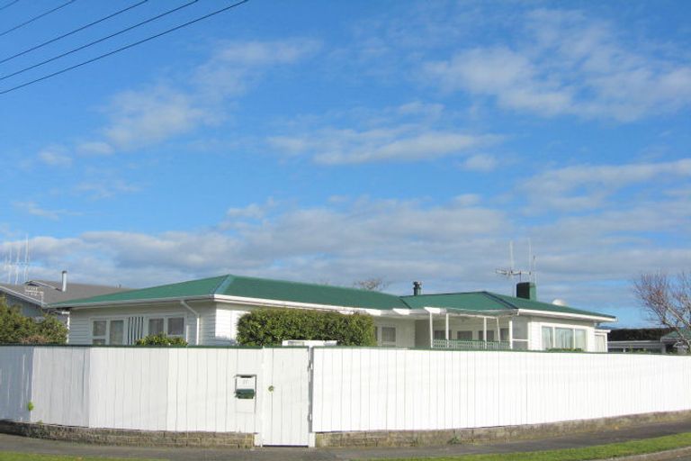 Photo of property in 17 Marsden Street, Levin, 5510