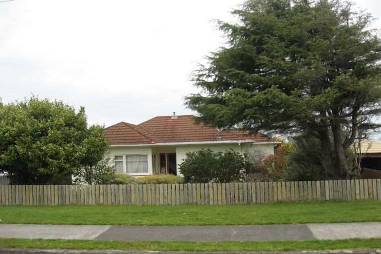 Photo of property in 29 Graham Street, Levin, 5510