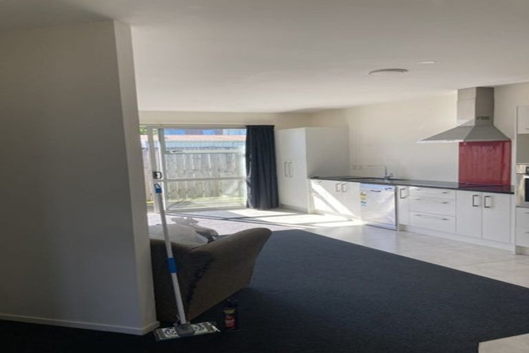 Photo of property in 230u4 Killarney Road, Frankton, Hamilton, 3204