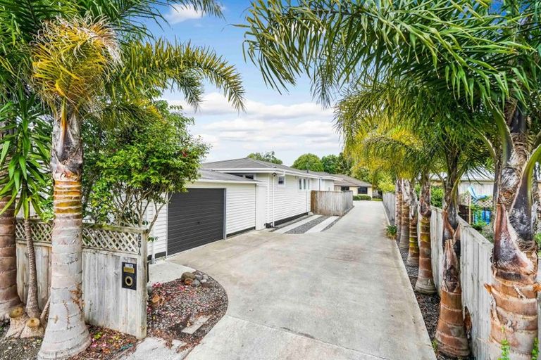 Photo of property in 55 Ascot Road, Chartwell, Hamilton, 3210