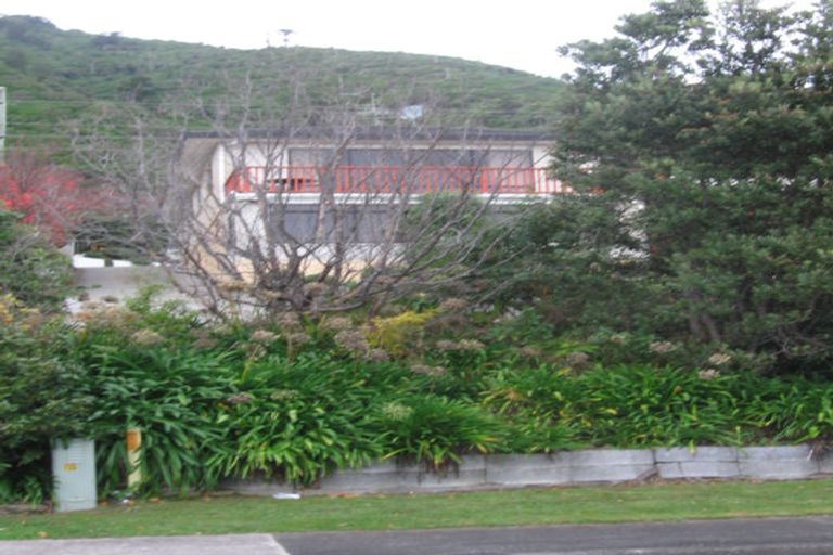 Photo of property in 51 Kotare Street, Waikanae, 5036