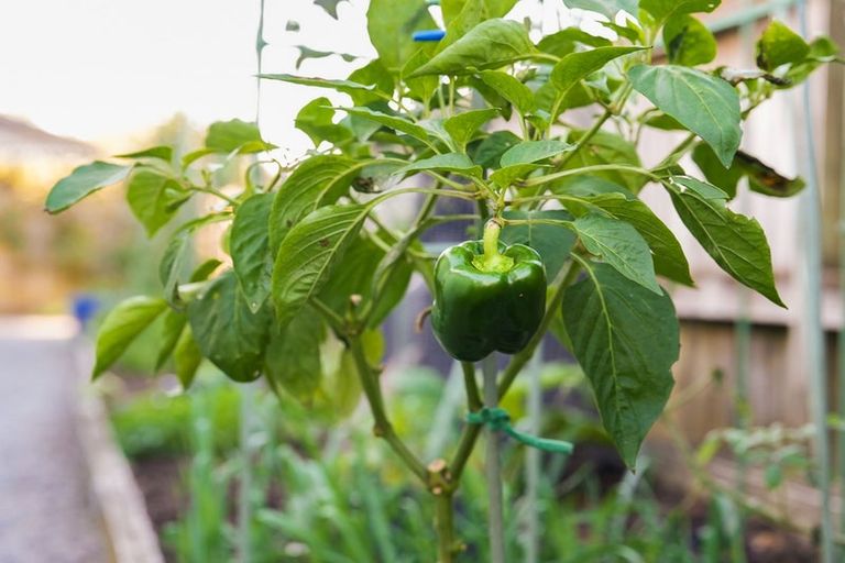 Photo of property in 17 Dal Din Drive, Otaki, 5512