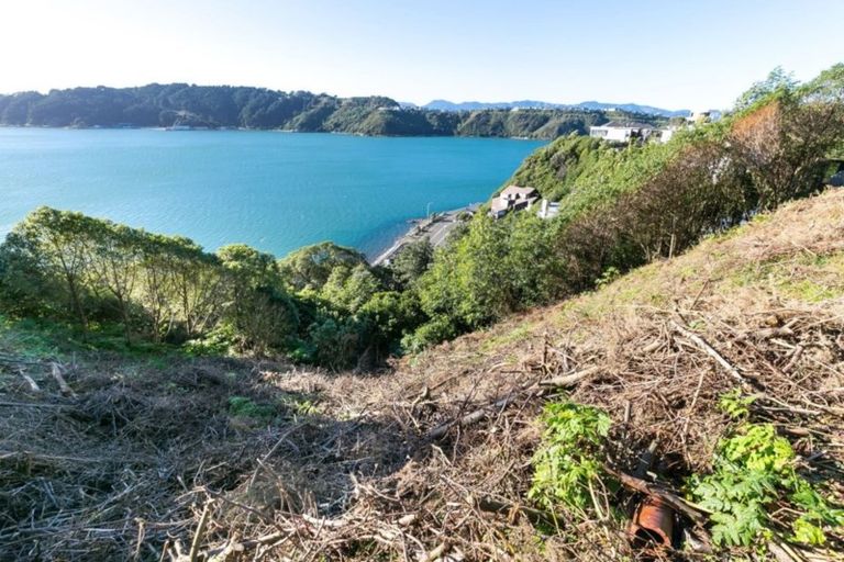 Photo of property in 21 Kio Road, Hataitai, Wellington, 6021