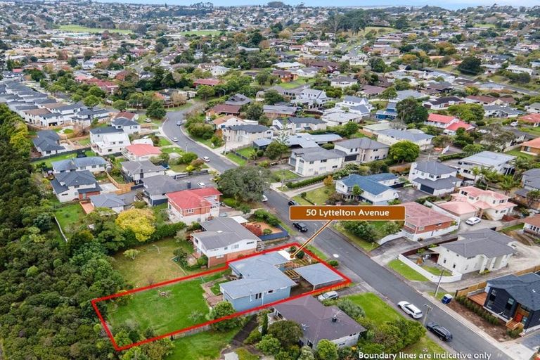 Photo of property in 50 Lyttelton Avenue, Forrest Hill, Auckland, 0620