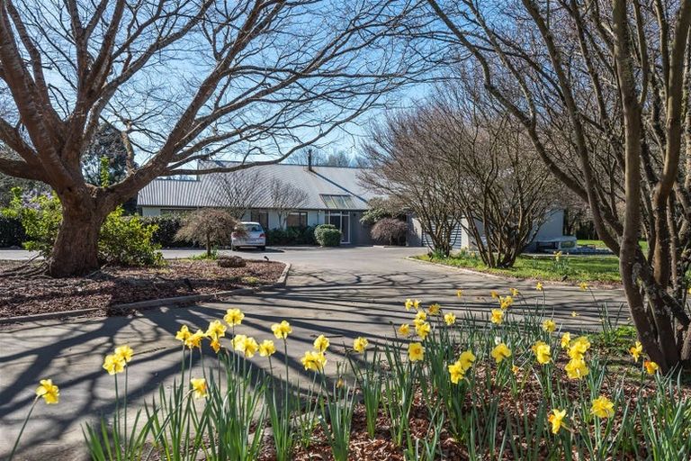 Photo of property in 104 Neeves Road, Kaiapoi, 7691