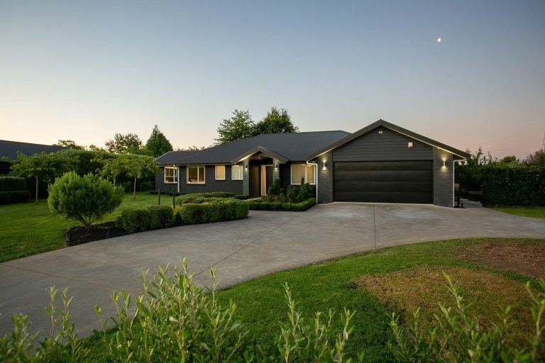 Photo of property in 14 Nikale Street, Cambridge, 3434