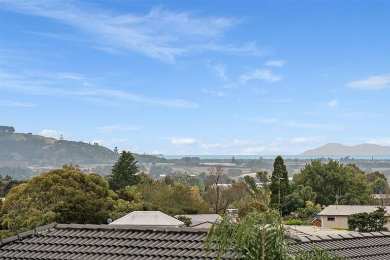 Photo of property in 16a No 2 Road, Te Puke, 3119