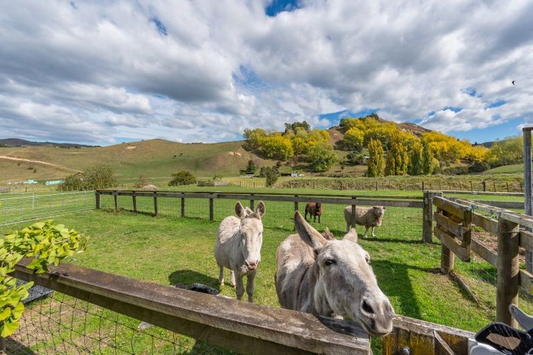 Photo of property in 564 Seafield Road, Puketapu, Napier, 4182