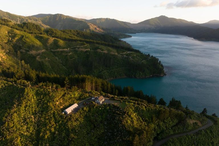 Photo of property in 1786 Port Underwood Road, Port Underwood, Picton, 7281