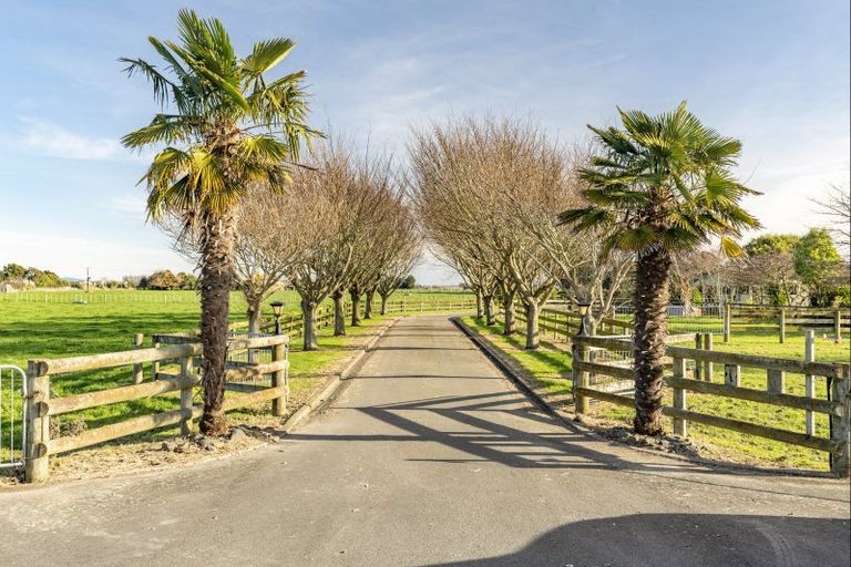 Photo of property in 11 Mckenzie Settlement Road, Kairanga, Palmerston North, 4475