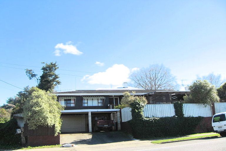 Photo of property in 60 Tavistock Road, Waipukurau, 4200