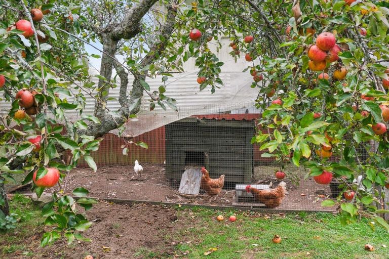 Photo of property in 1000f Hamurana Road, Hamurana, Rotorua, 3097