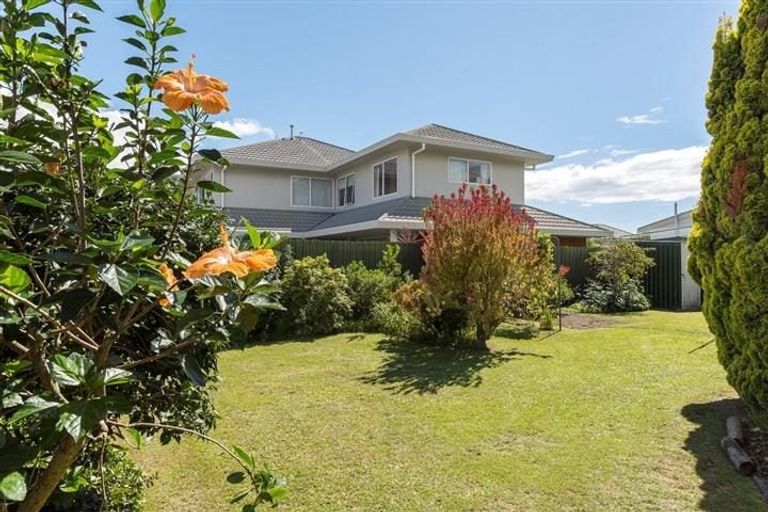 Photo of property in 23b Kulim Avenue, Otumoetai, Tauranga, 3110