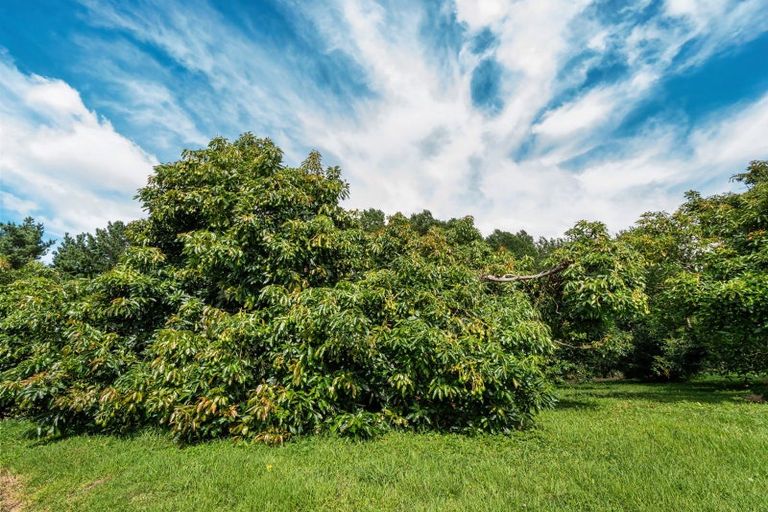 Photo of property in 183 Henry Road, Tahawai, 3170