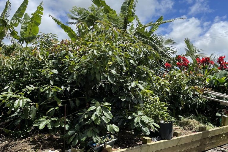 Photo of property in 40 Bonnett Road, Kaitaia, 0410