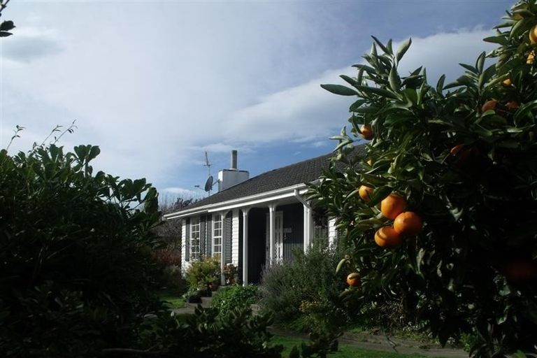 Photo of property in 1 James Cook Street, Havelock North, 4130