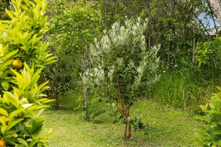 Photo of property in 217 Rocky Cutting Road, Waitao, Tauranga, 3175