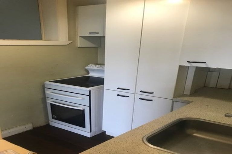 Photo of property in 60a Rakau Road, Hataitai, Wellington, 6021