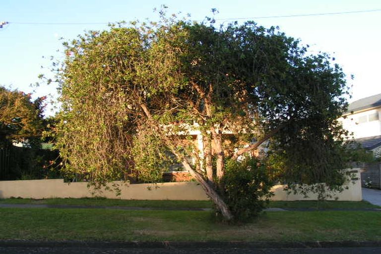 Photo of property in 1/76 Francis Street, Hauraki, Auckland, 0622