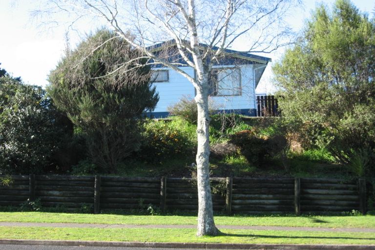 Photo of property in 88 Fairview Street, Chartwell, Hamilton, 3210