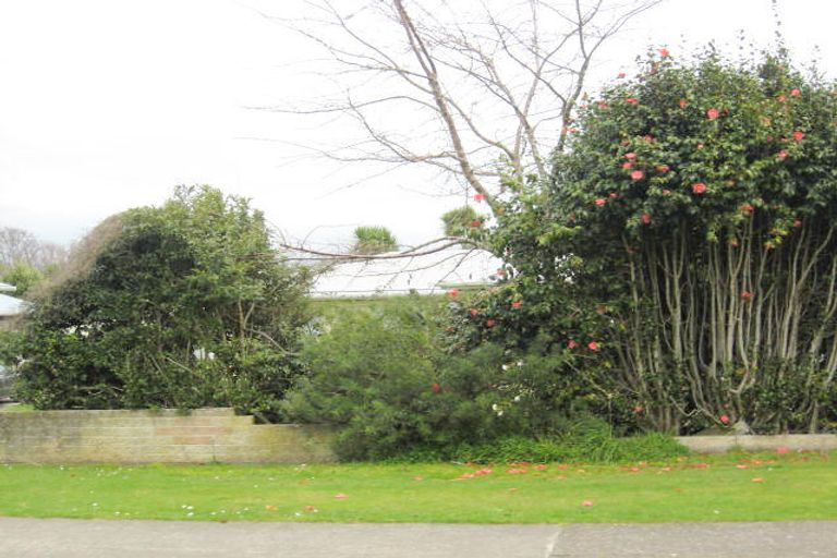 Photo of property in 13 Graham Street, Levin, 5510