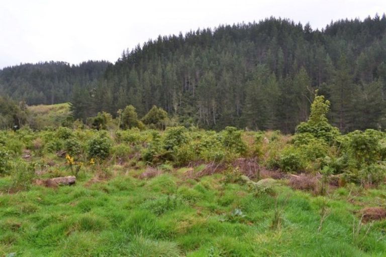 Photo of property in 867 Gladstone Road, Levin, 5571