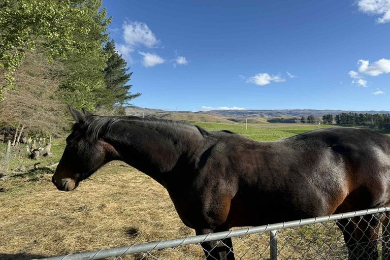 Photo of property in 633 Ardgour Road, Tarras, Cromwell, 9383