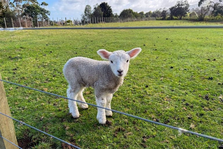 Photo of property in 76 Parenga Road, Hautere, Otaki, 5582