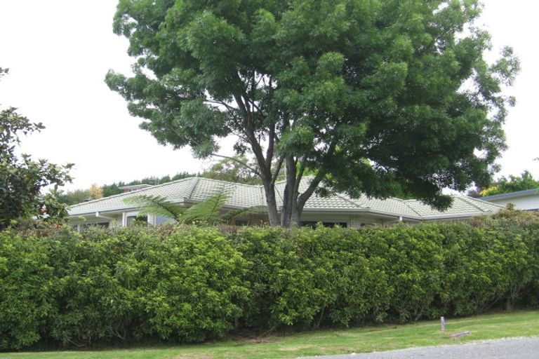 Photo of property in 181f Omokoroa Road, Omokoroa, 3114