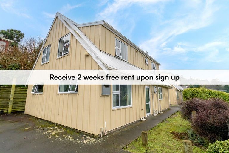 Photo of property in 56a Bank Street, North East Valley, Dunedin, 9010