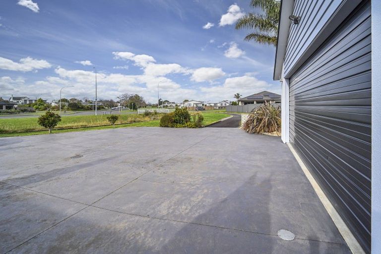 Photo of property in 230 Avondale Road, Greenmeadows, Napier, 4112