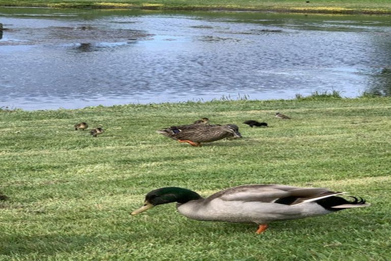 Photo of property in 8 Higgins Street, Marewa, Napier, 4110