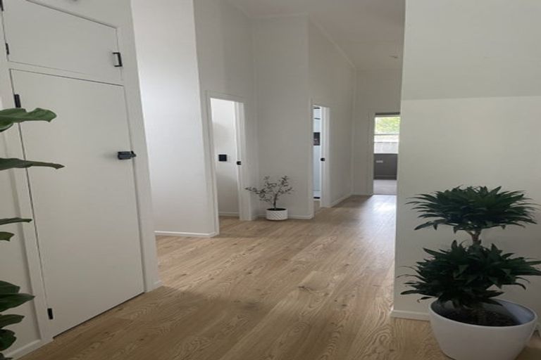 Photo of property in 20 Morrow Terrace, Pukekohe, 2120