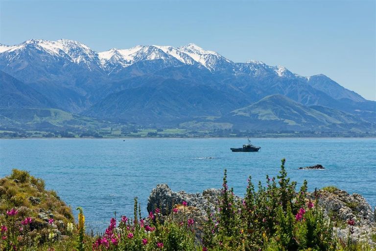 Photo of property in 1481x State Highway 1, Mangamaunu, Kaikoura, 7371