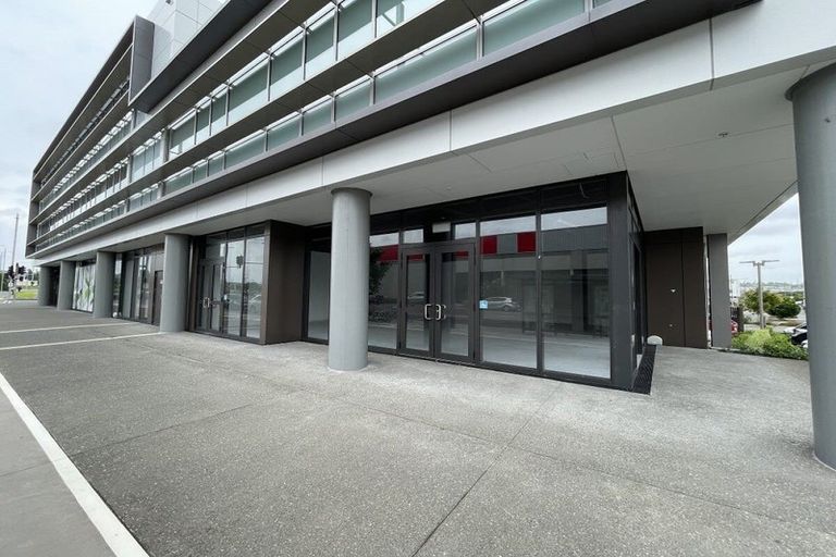 Photo of property in 1 Gallipoli Place, Flat Bush, Auckland, 2019