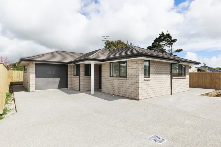 Photo of property in 17 Winchester Street, Levin, 5510