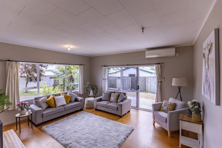 Photo of property in 66 Racecourse Road, Waipukurau, 4200