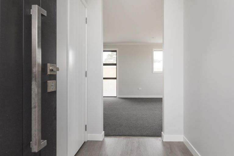 Photo of property in 17 Winchester Street, Levin, 5510