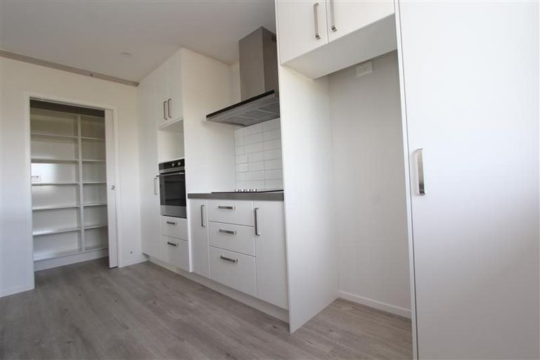 Photo of property in 45 Lulu Avenue, Chartwell, Hamilton, 3210