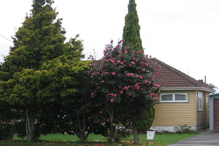 Photo of property in 56 Keepa Street, Levin, 5510