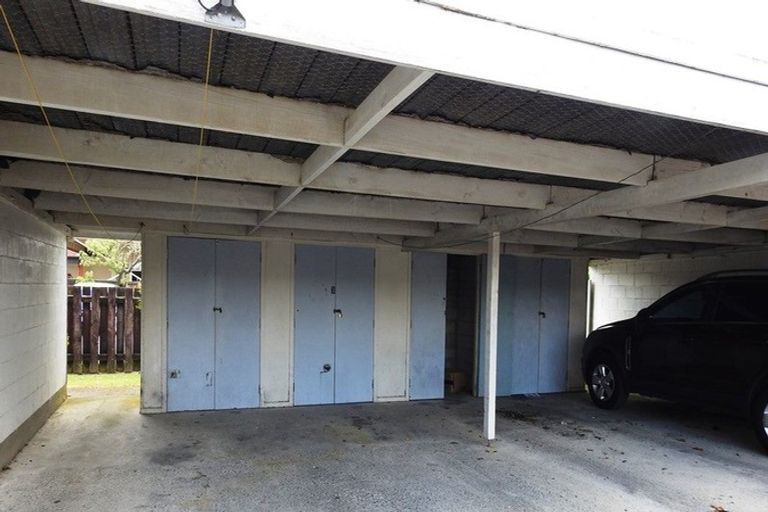 Photo of property in 245u1 Ulster Street, Whitiora, Hamilton, 3200